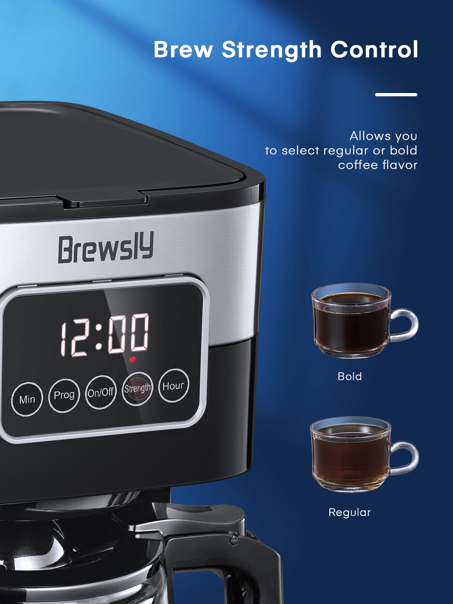 Brewsly 12-Cup Professional Coffee Maker, Touch Screen Coffee Machine with Regular and Thick Brews, Stainless Steel Coffee Brewer, Keep Warm, Anti-Drip System