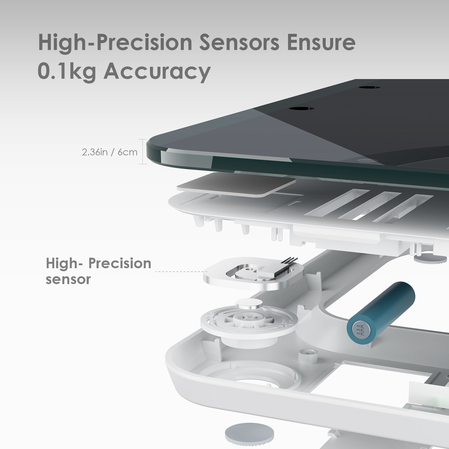 DEIK Smart Digital Body Fat Scale