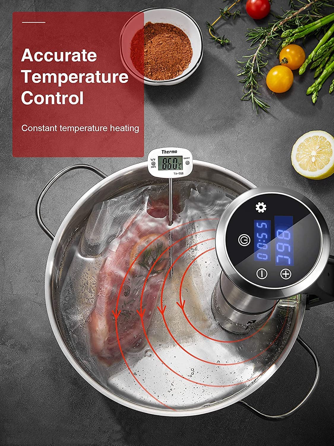 DEIK Sous Vide, 1200W Slow Cooker, Roner IPX7 Water Resistance, Bain Marie Cooking Machine with LED Touch Screen, Temperature Control and Scheduled Time